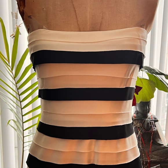 BCBG MaxAzira tierd party dress- Blk & Wht. stripe - Picture 4 of 4